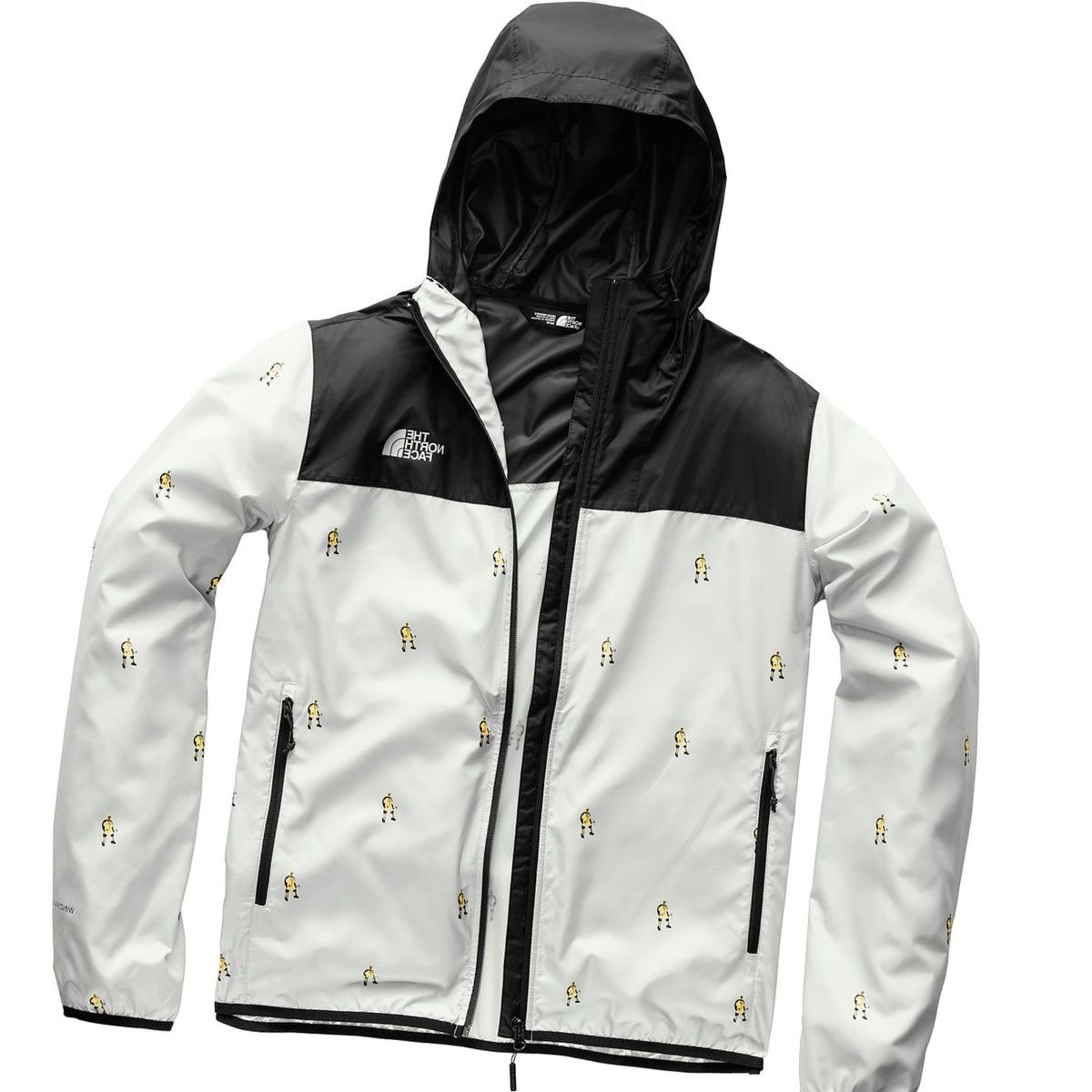 The North Face Printed Cyclone Hoodie - Men's