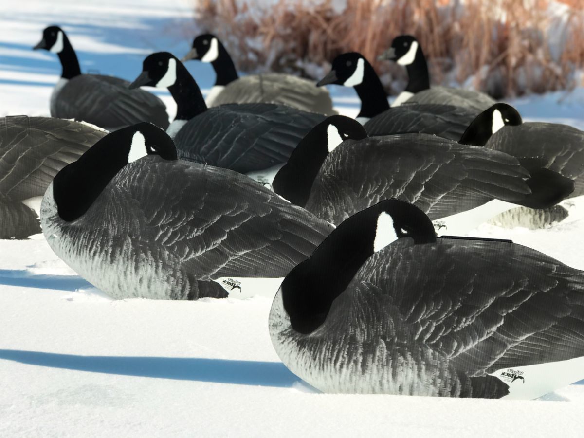 White Rock Decoys Flocked-Head Silhouette Canada Goose Decoys – Loafer Pack