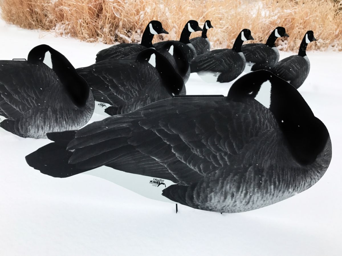 White Rock Decoys Flocked-Head Silhouette Canada Goose Decoys – Loafer Pack
