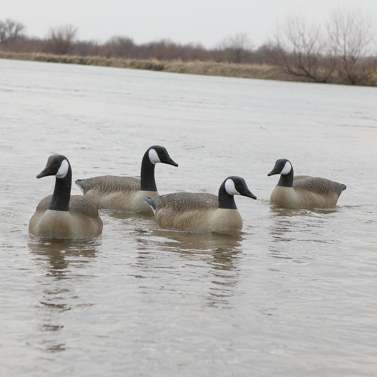 Cabela's Northern Flight® RealImage® Canada Goose Floaters – Four-Pack