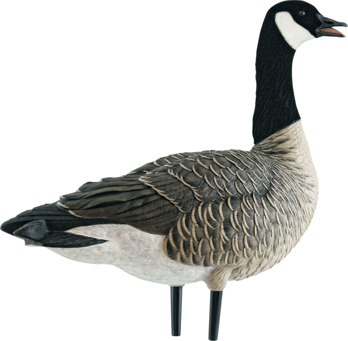 Avian-X Outfitter Lesser Canada Outfitter Goose Decoy Pack with Twelve-Slot Decoy Bag