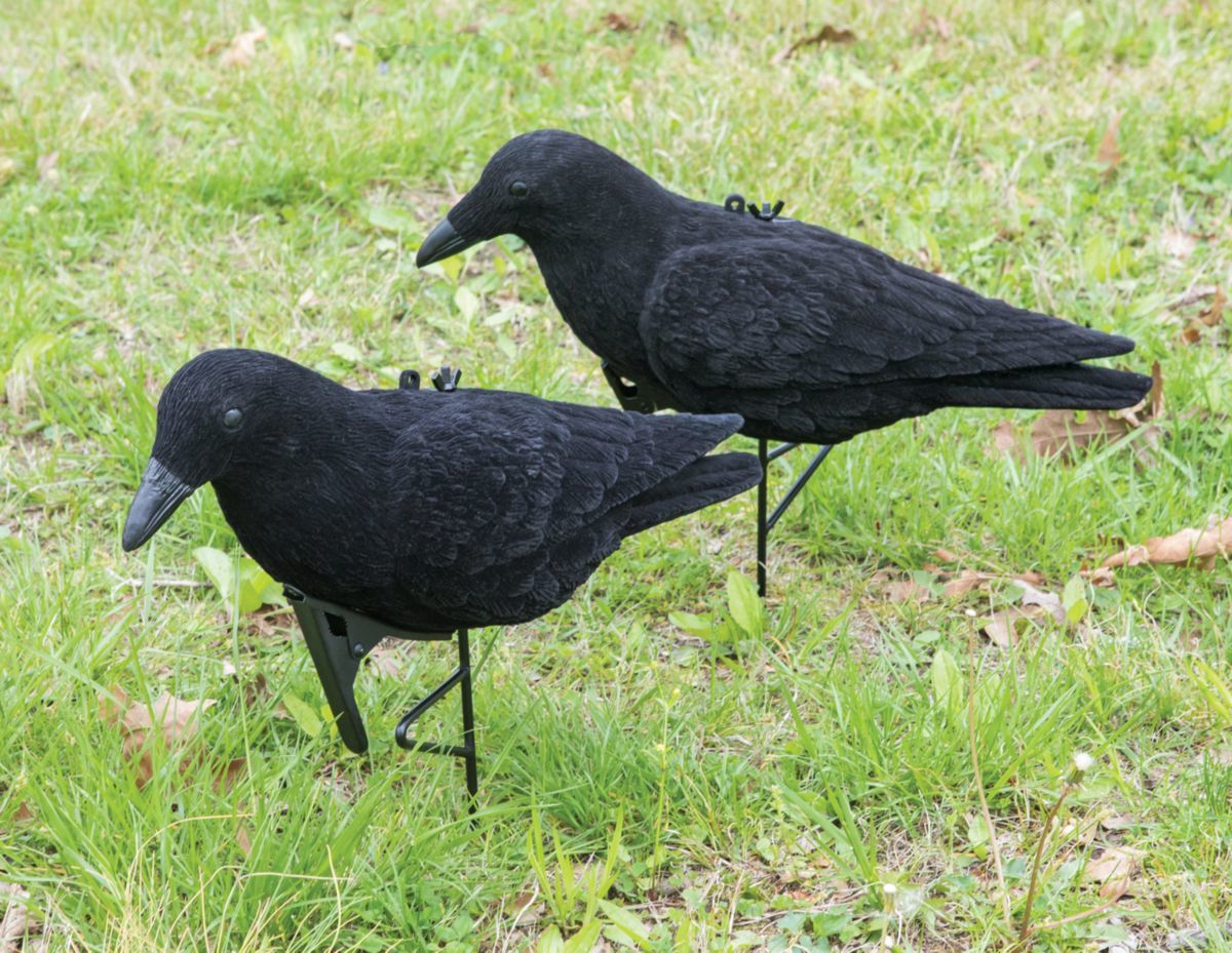 Cabela's Flocked Crow Decoy