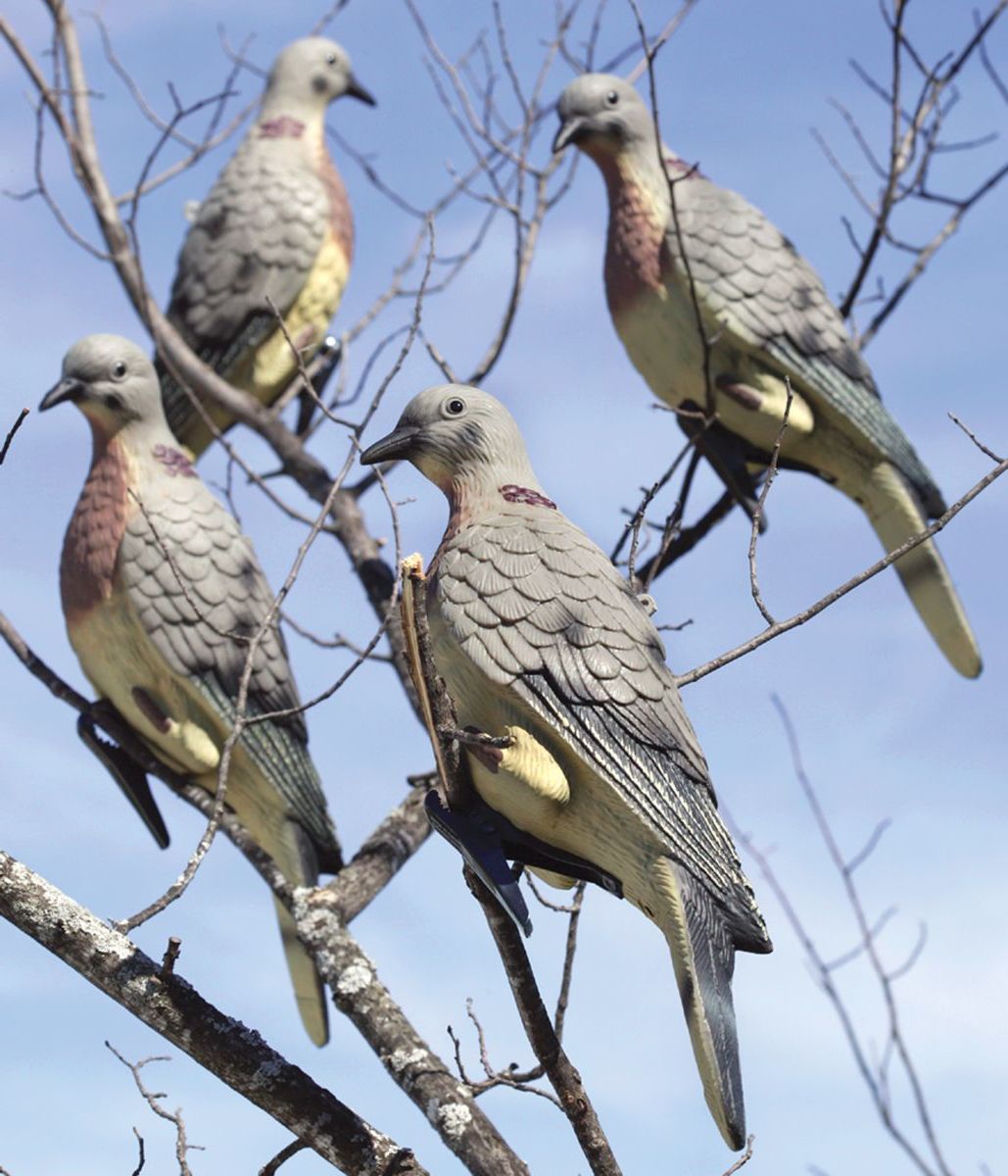 1 Dozen Realistic Hollow Pigeon Decoy Dove Decoys for Garden Decorative/Hunting