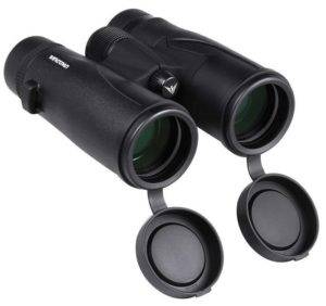 Wingspan Optics SkyView Ultra HD 8X42 — Best Compact Binoculars
