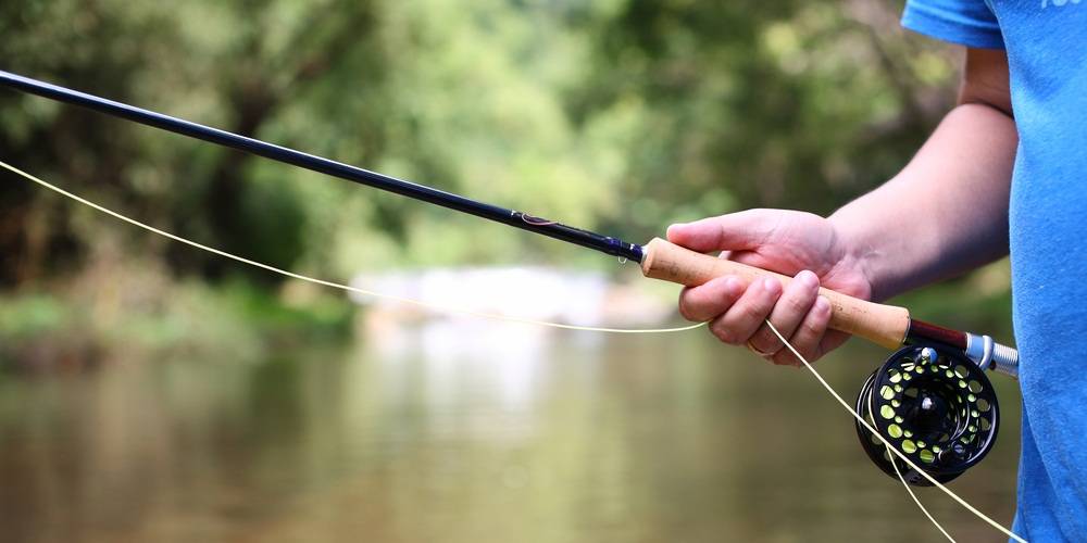 Different Types Of Fishing Rods Down Fly Adventures