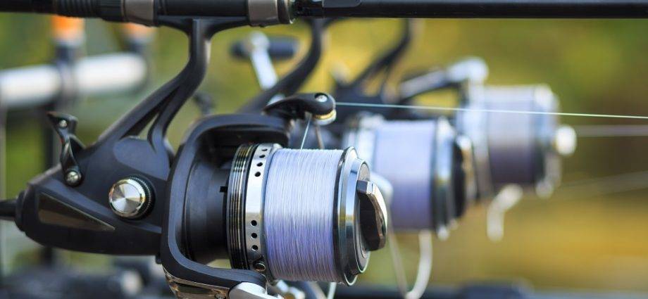 Best spinning reels — Review on Outdoormiks