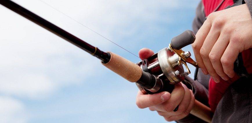 Best round reels review — OutdoorMiks