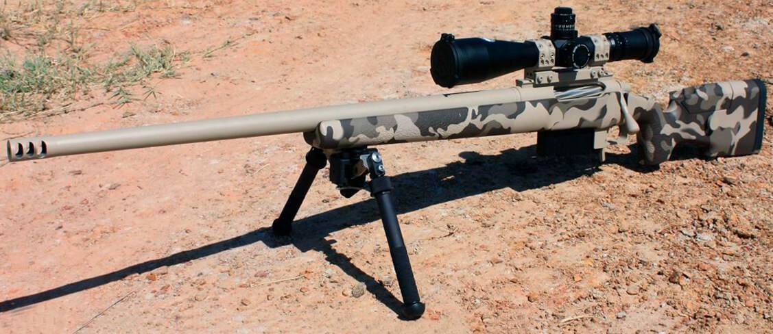 The Best 20 Rifles 2021 : Tactical, Big Game Hunting – OutdoorMiks