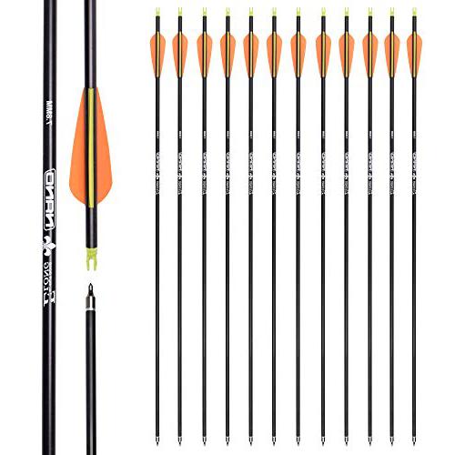 Carbon Hunting with 100 Grain Removable Tips arrows for compound bow hunting