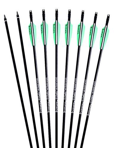 PANDARUS Archery Fiberglass arrows for compound bow hunting